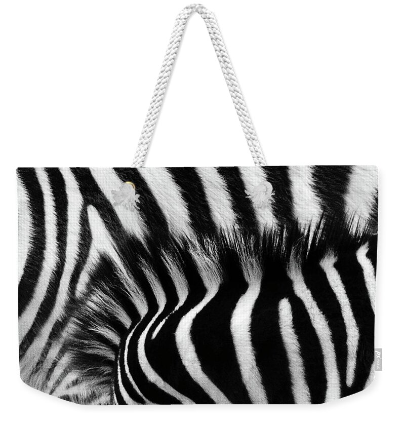 Zebra Weekender Tote Bag featuring the photograph Blending In by Debra Sabeck