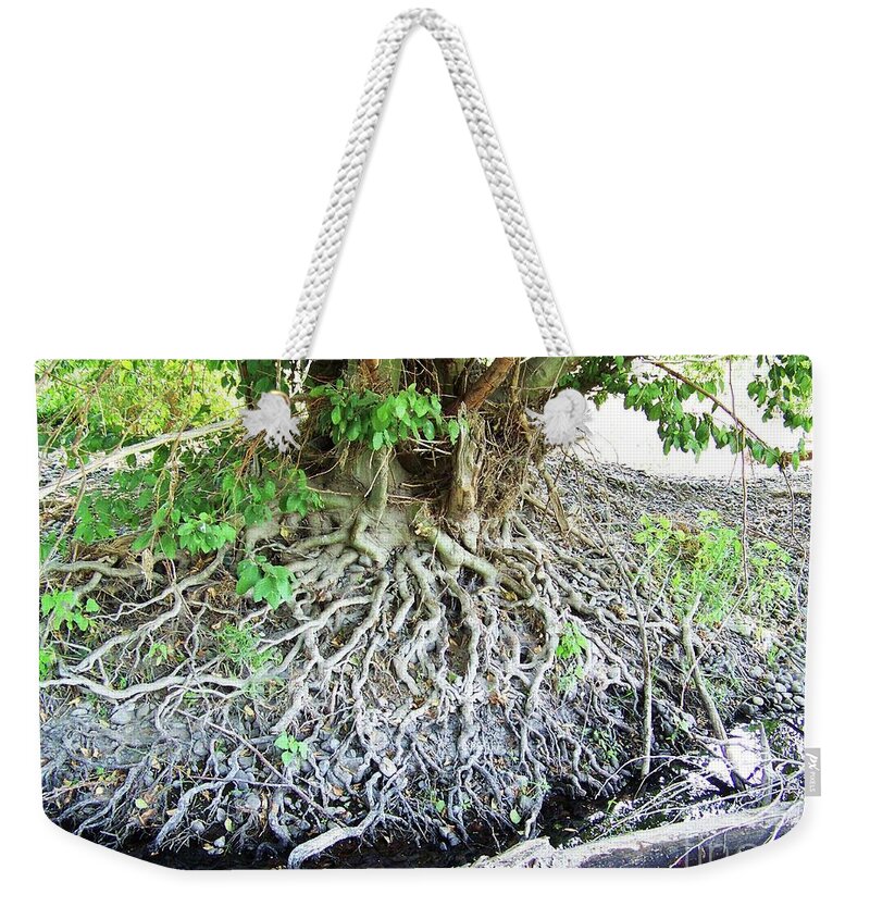 Landscape Weekender Tote Bag featuring the photograph Blessing Root Stones by Julie Rauscher