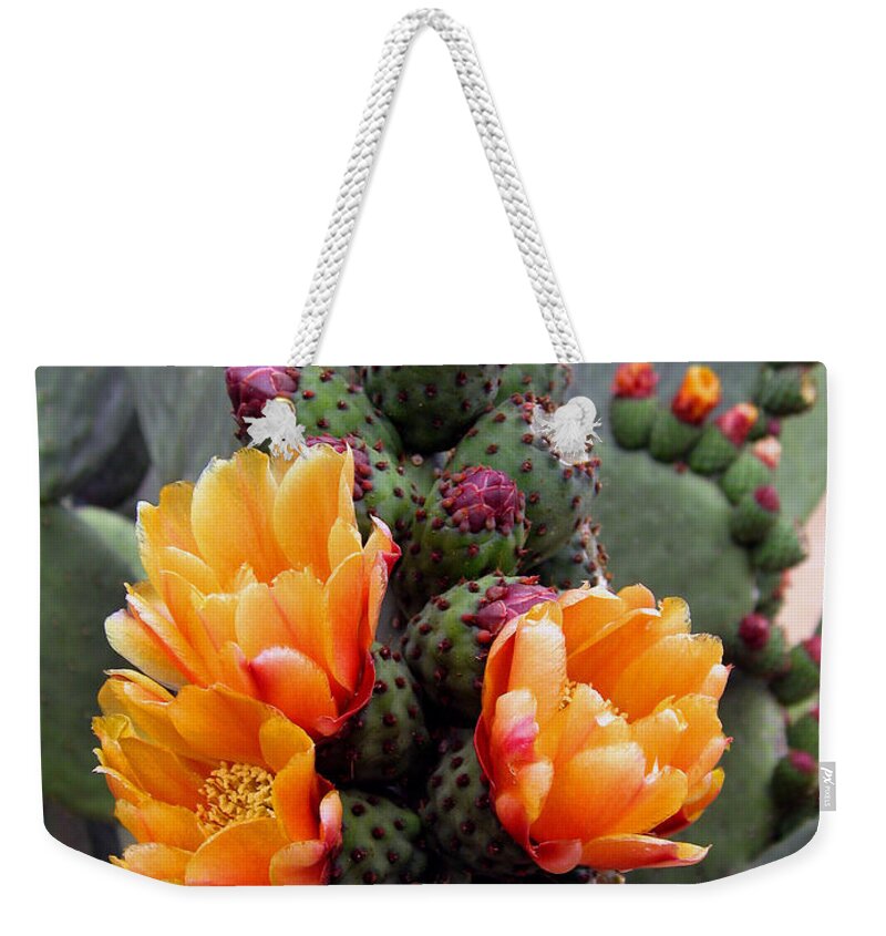 Cactus Weekender Tote Bag featuring the photograph Blooming Cactus by Harvie Brown