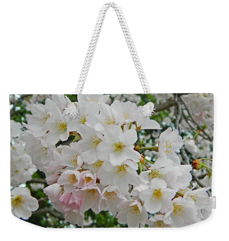 Blooming Cherry Blossoms Weekender Tote Bag for Sale by Emmy Marie Vickers
