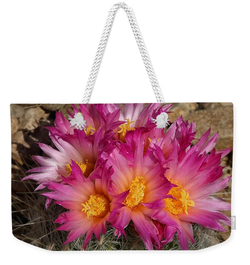 Cacti Weekender Tote Bag featuring the photograph Blooming Desert by Elaine Malott