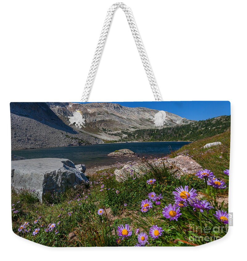 Landscape Weekender Tote Bag featuring the photograph Blooming in Snowy Range by Steven Reed
