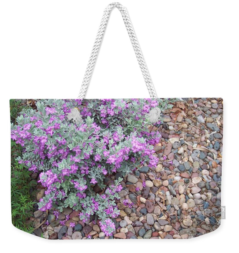 Flowers Weekender Tote Bag featuring the painting Blooms by Mordecai Colodner