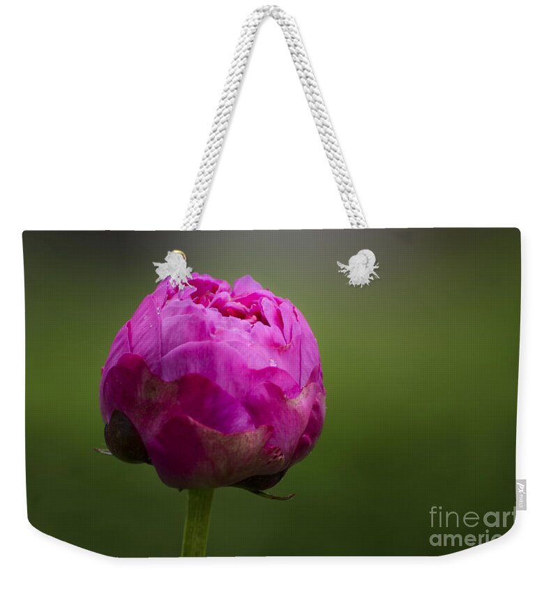 Bud Weekender Tote Bag featuring the photograph Blossom by Andrea Silies