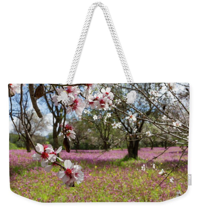 Cyprus Weekender Tote Bag featuring the photograph Blossoming almond trees by Iordanis Pallikaras