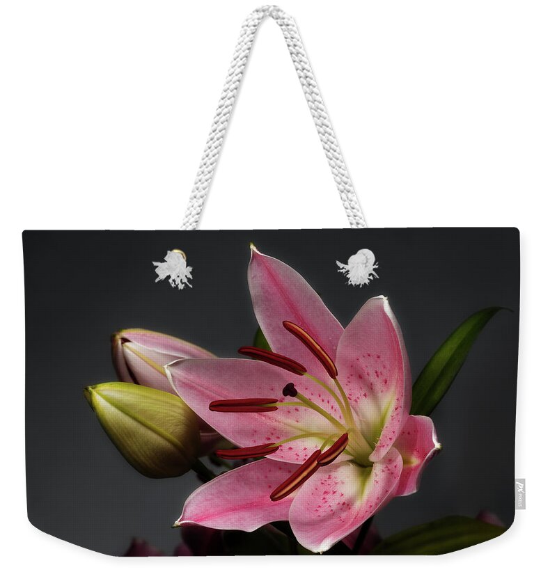 Blossom Weekender Tote Bag featuring the photograph Blossoming Pink Lily Flower on dark Background by Sergey Taran