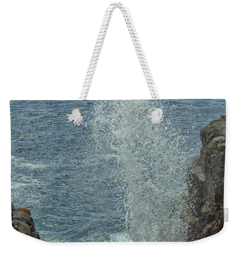 Action Weekender Tote Bag featuring the photograph Blow hole - Natural fountain in Hummanaya, Sri Lanka by Patricia Hofmeester