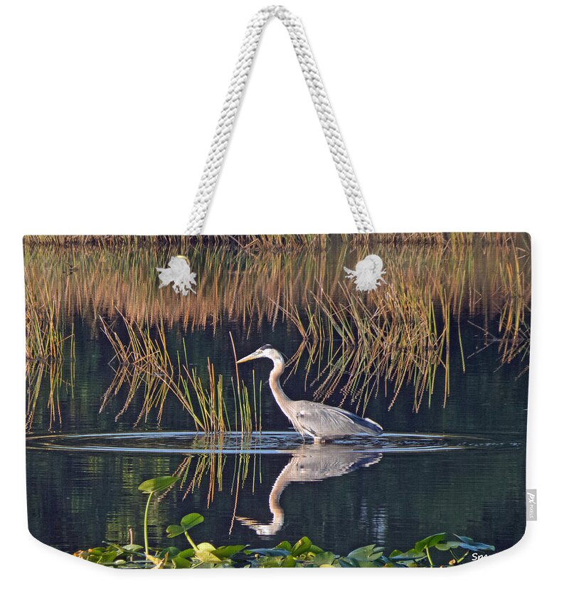 Florida Weekender Tote Bag featuring the photograph Blue Alert by T Guy Spencer