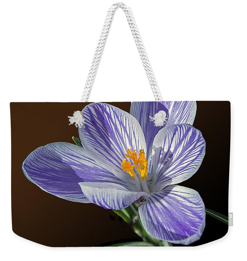 2d Weekender Tote Bag featuring the photograph Blue And White Crocus by Brian Wallace