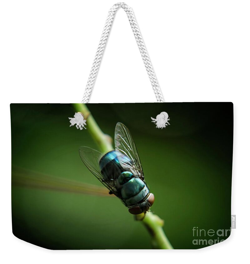 Michelle Meenawong Weekender Tote Bag featuring the photograph Blue Bottle Fly by Michelle Meenawong