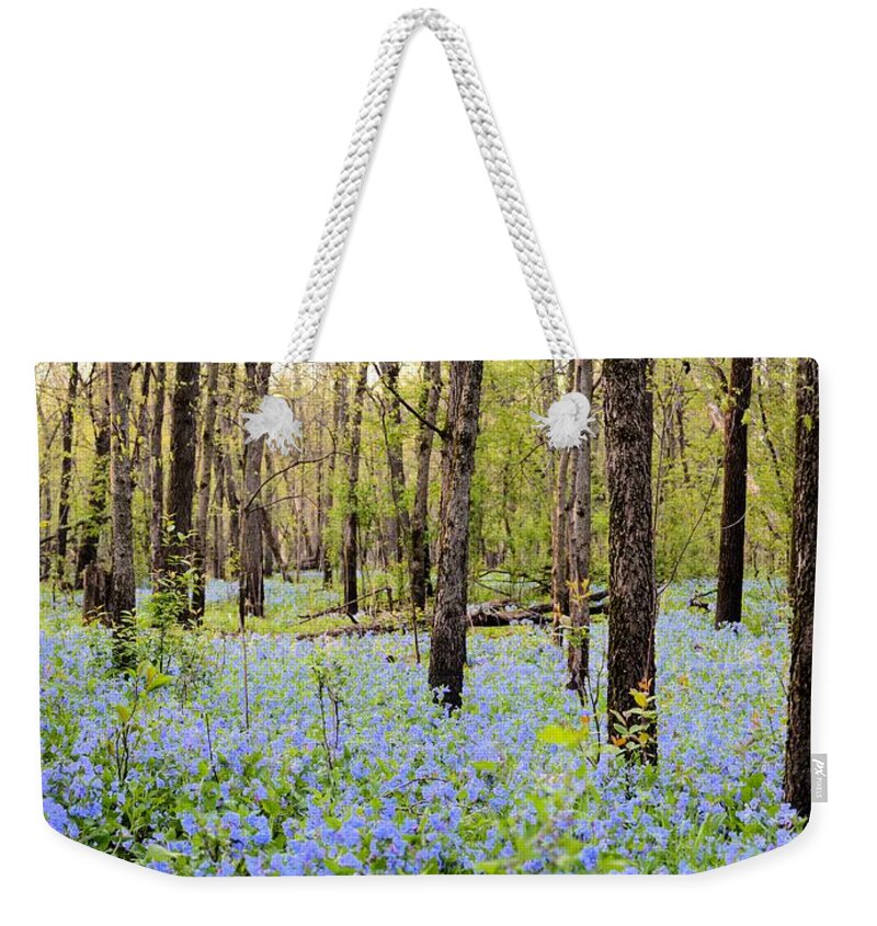 Blue Weekender Tote Bag featuring the photograph Blue Carpet by Bonfire Photography