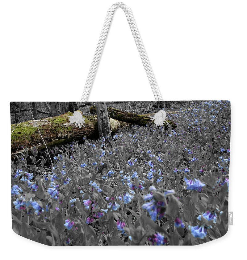 Fallen Tree Weekender Tote Bag featuring the photograph Blue Comfort by Dylan Punke