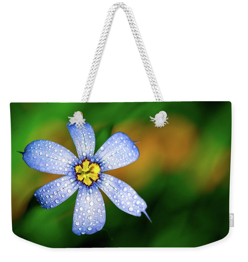 Flower Weekender Tote Bag featuring the photograph Blue Eyed Grass Flower covered in Droplets by Brad Boland