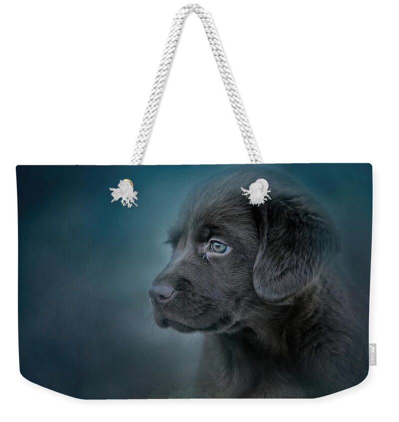 Jai Johnson Weekender Tote Bag featuring the photograph Blue Eyed Puppy by Jai Johnson