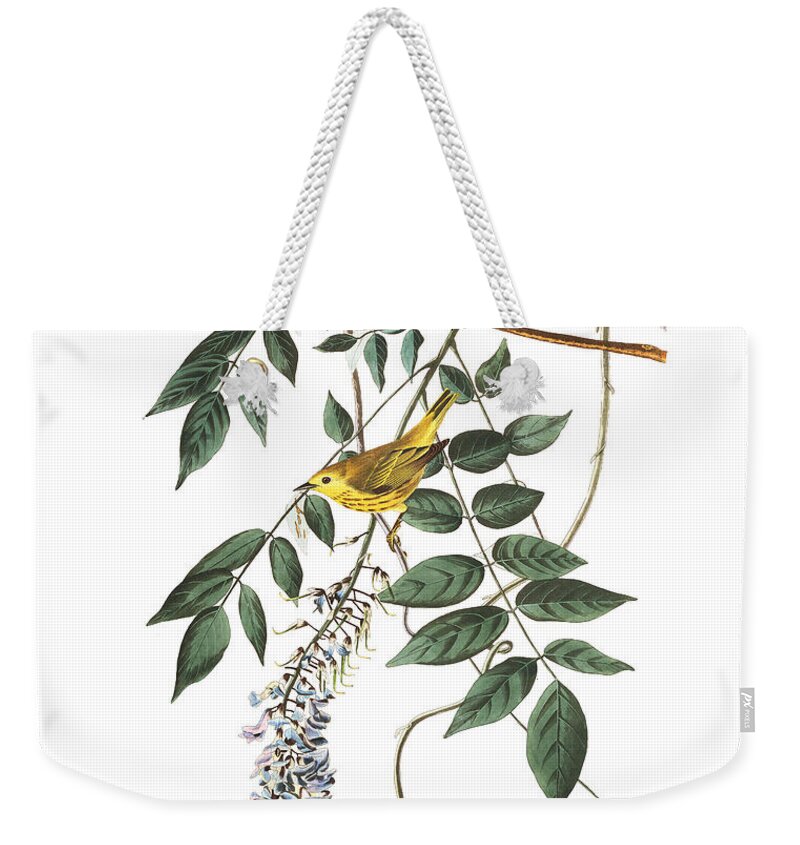 Blue-eyed Yellow Warbler Weekender Tote Bag featuring the painting Blue eyed yellow by MotionAge Designs