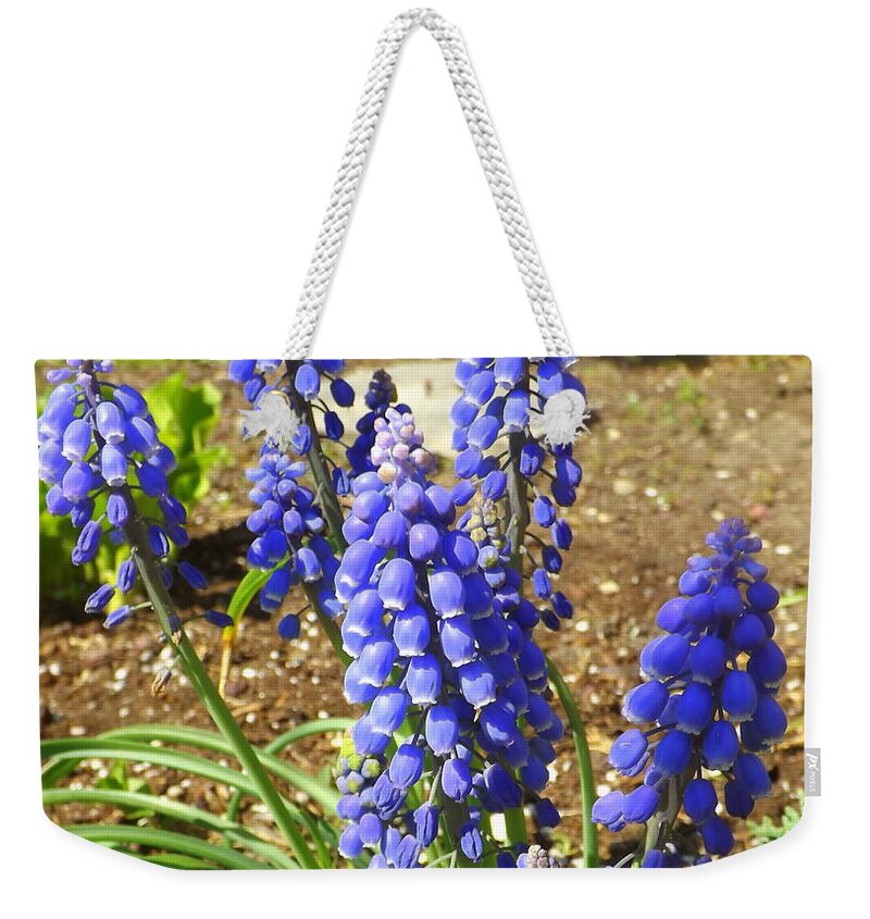 Flower Weekender Tote Bag featuring the photograph Blue Grape Hyacinth by Lingfai Leung