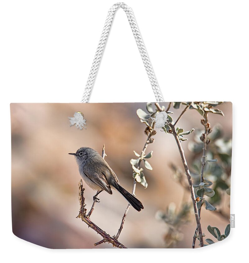 Arizona Weekender Tote Bag featuring the photograph Black-Tailed Gnatcatcher by Dan McManus
