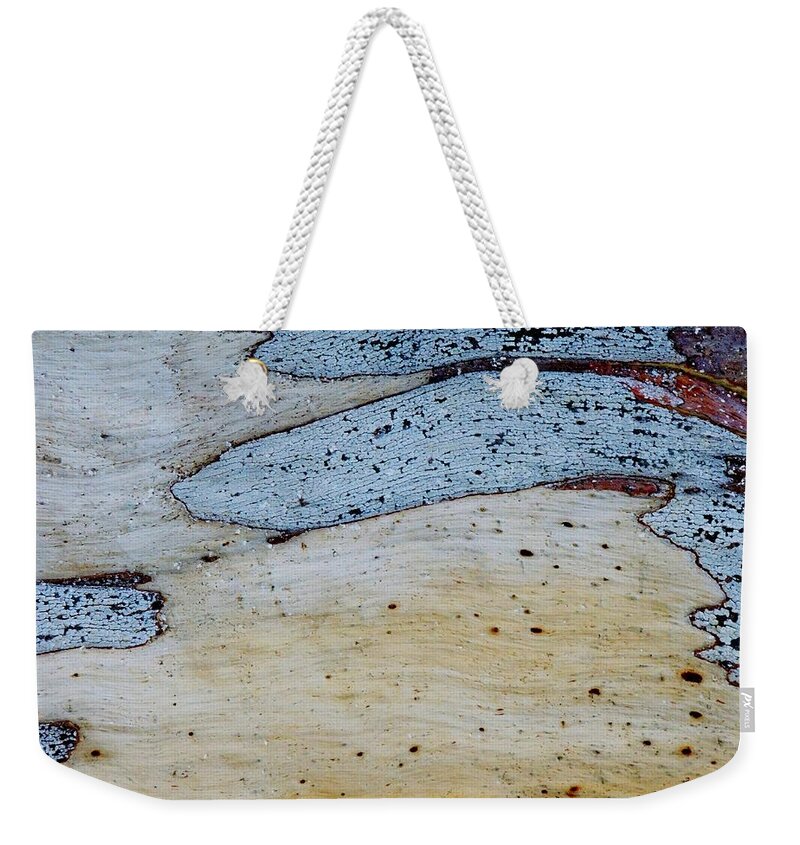 Nature Abstract Weekender Tote Bag featuring the photograph Blue Gum Abstract 3 by Denise Clark