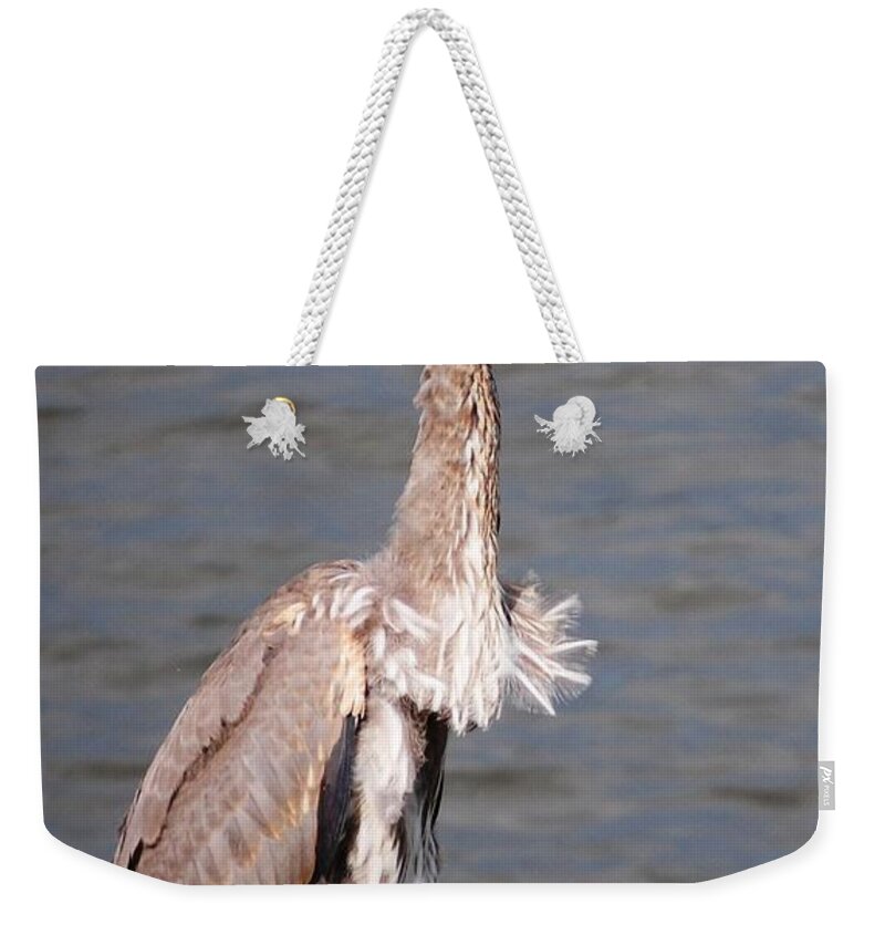 Blue Heron Weekender Tote Bag featuring the photograph Blue Heron Calling by Sumoflam Photography