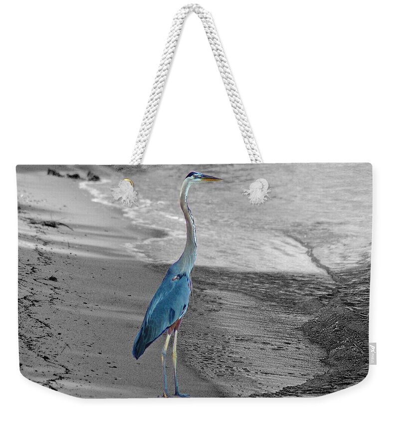 Birds Weekender Tote Bag featuring the painting Blue heron On Beach by Michael Thomas