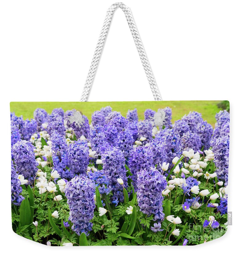 Netherlands Weekender Tote Bag featuring the photograph Blue Hyacinth Flowerbed by Anastasy Yarmolovich
