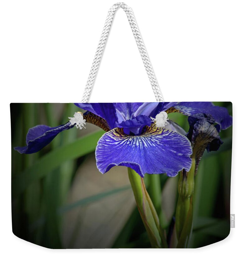 Florals Weekender Tote Bag featuring the photograph Blue Iris by Tikvah's Hope