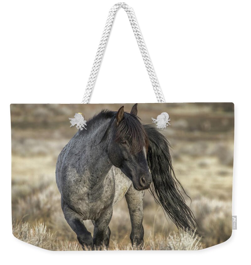 Mustang Weekender Tote Bag featuring the photograph Blue by John T Humphrey