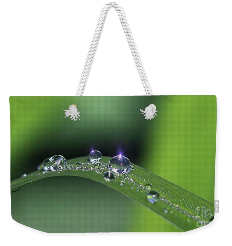 Droplets Weekender Tote Bag featuring the photograph Blue light on the Droplets by Yumi Johnson