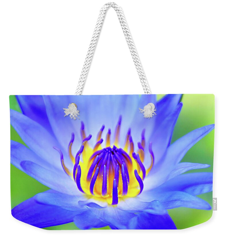 Lotus Weekender Tote Bag featuring the photograph Blue Magic by Iryna Goodall