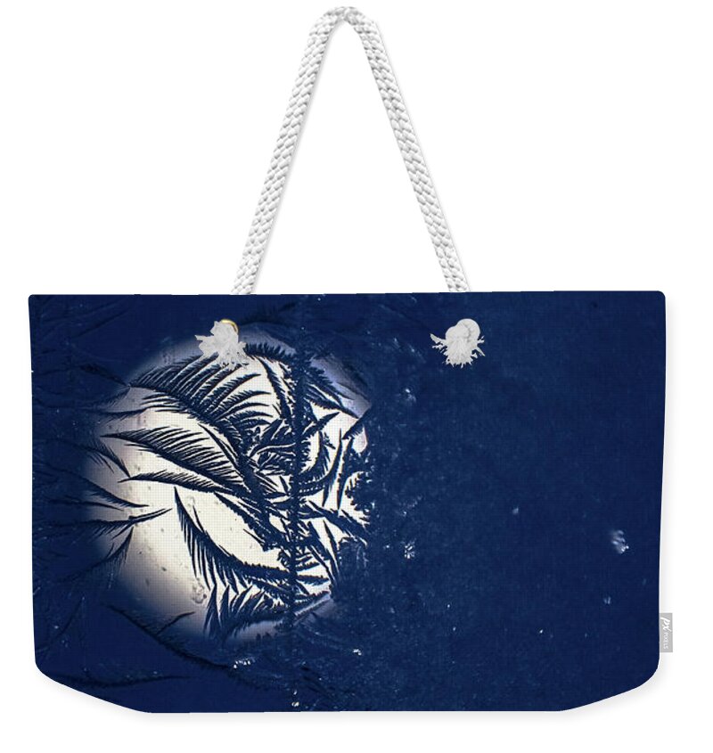 Window Frost Weekender Tote Bag featuring the photograph Blue Moon Frosty Trees by Cheryl Baxter