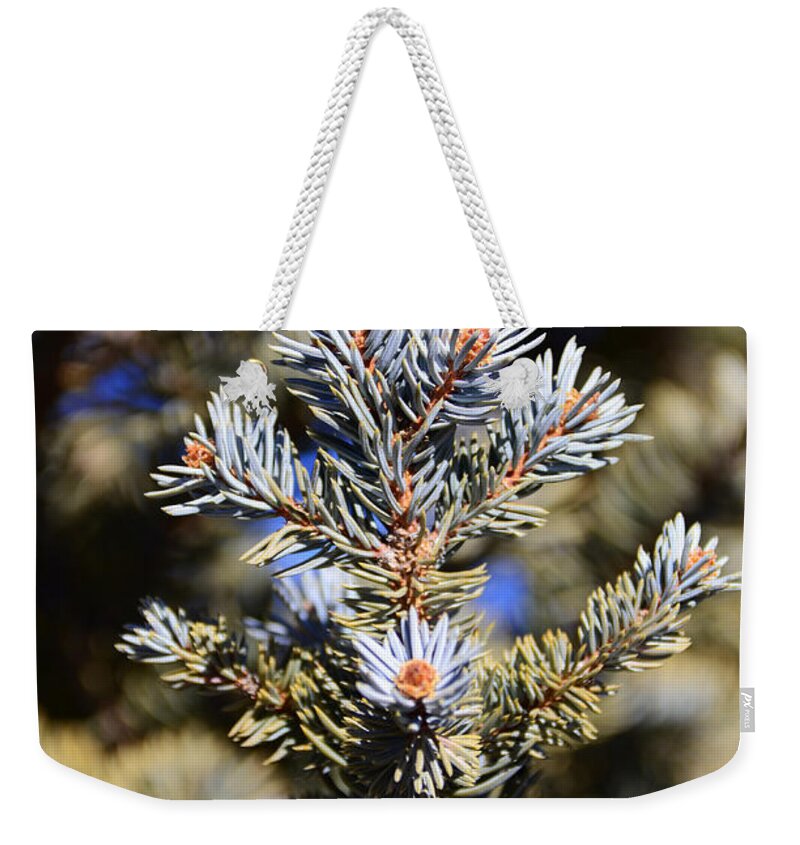  Yellow Weekender Tote Bag featuring the photograph Blue needles by Robert WK Clark