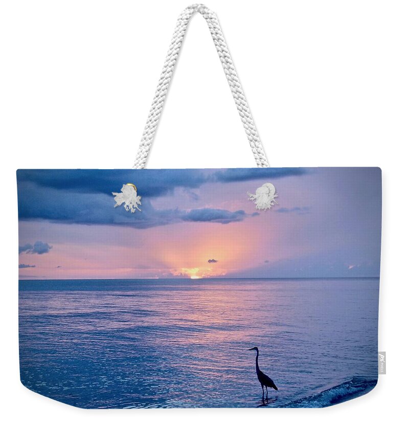 Sun Weekender Tote Bag featuring the photograph Blue on Blue by Carol Bradley