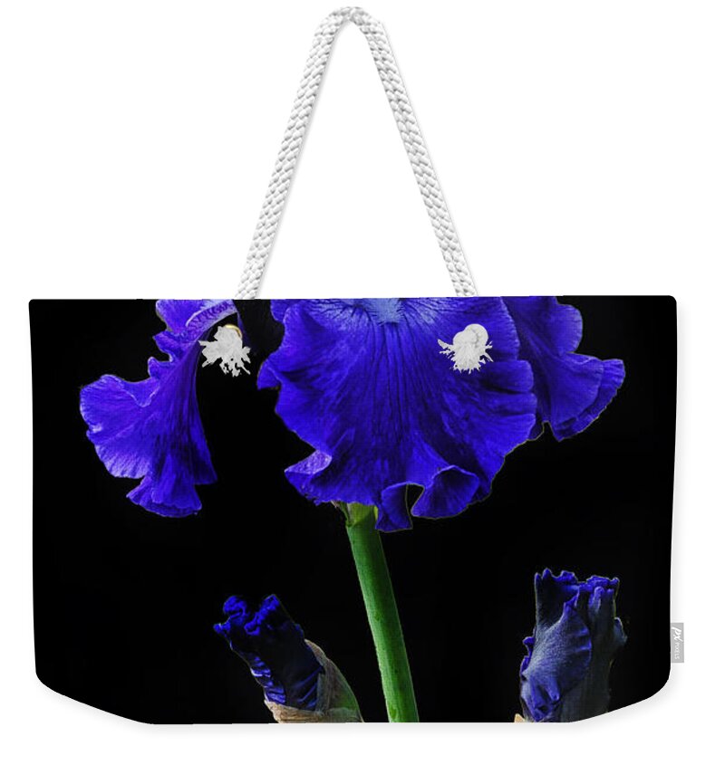 Iris Weekender Tote Bag featuring the photograph Blue On Blue by Dave Mills