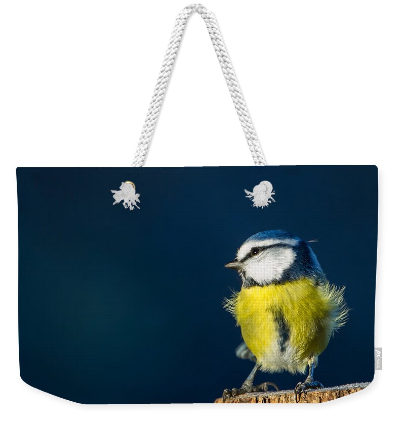 Blue On Blue Weekender Tote Bag featuring the photograph Blue on Blue by Torbjorn Swenelius