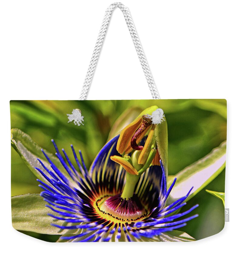 Passion Flower Weekender Tote Bag featuring the photograph Blue Passion Flower - Still Opening 001 by George Bostian