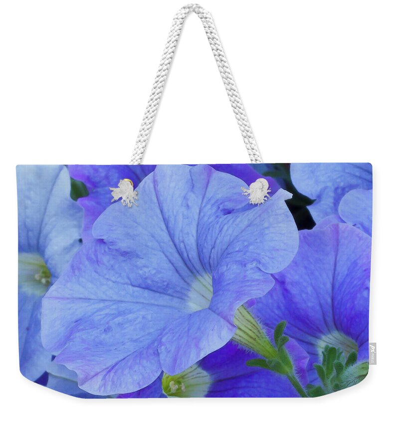 Blue Weekender Tote Bag featuring the photograph Blue Petunia Blossom by Sandra Foster