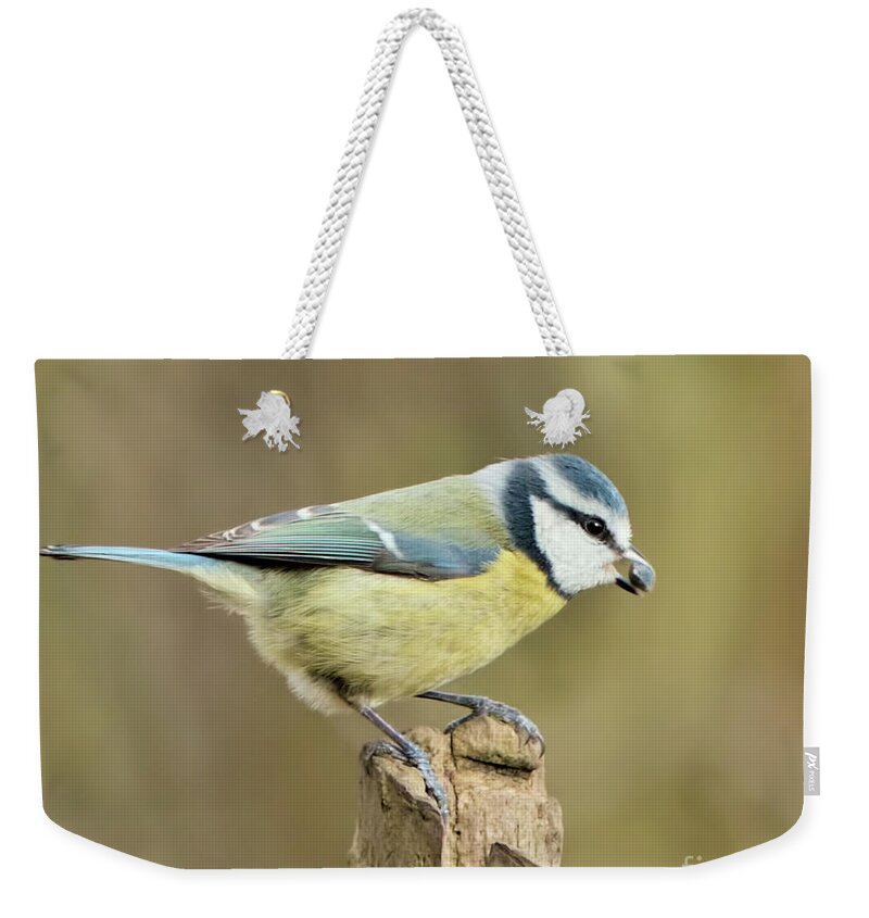  Weekender Tote Bag featuring the photograph Blue Tit by Stephen Melia