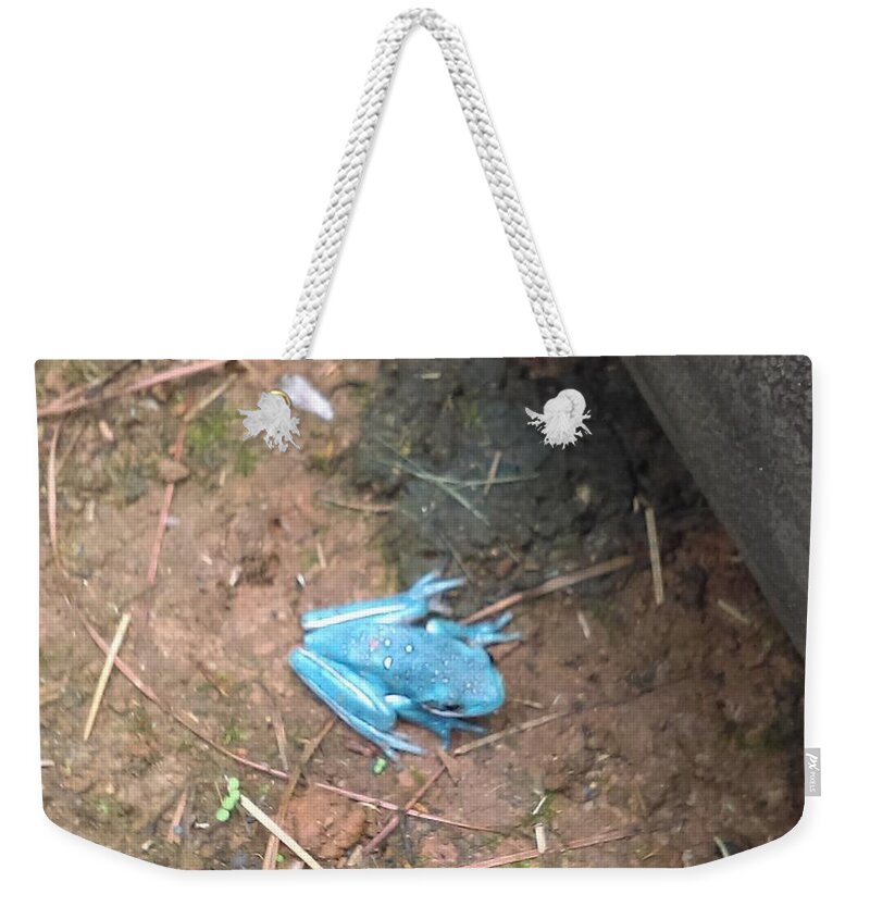 Blue Weekender Tote Bag featuring the photograph Blue Tree Frog by Stacy C Bottoms