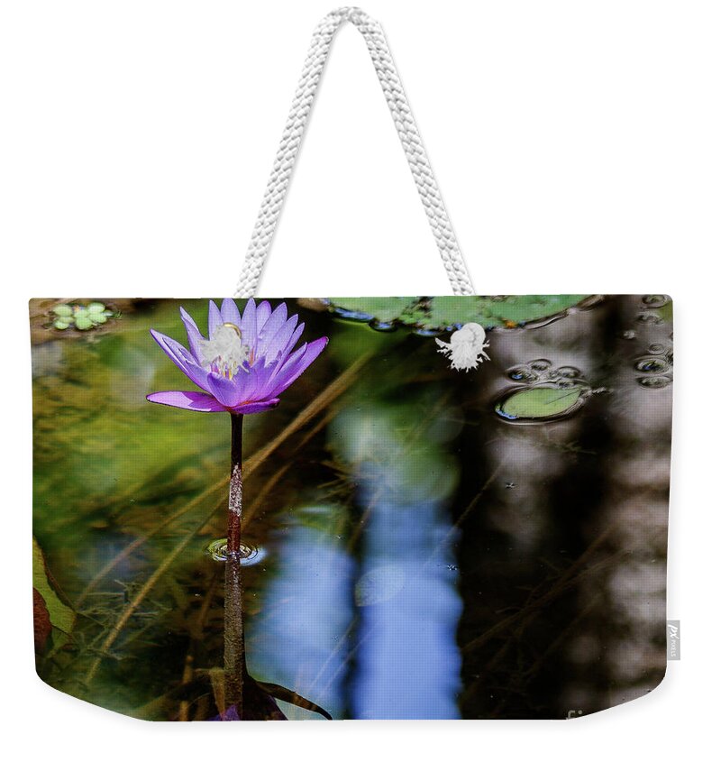 Flower Weekender Tote Bag featuring the photograph Blue Water Lily by Les Greenwood