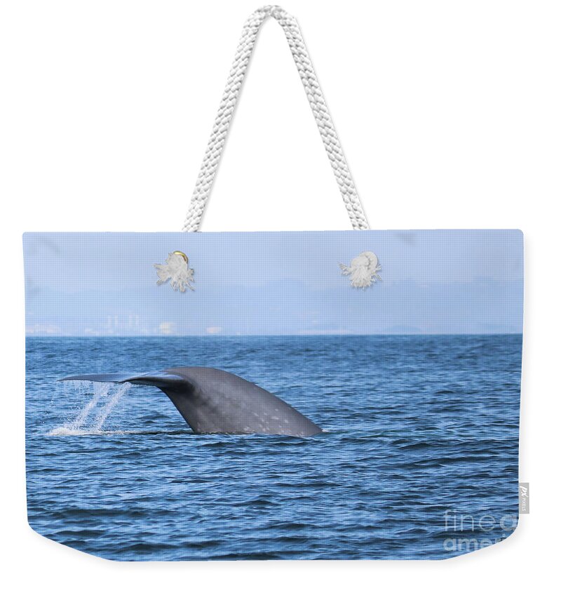 Blue Whale Weekender Tote Bag featuring the photograph Blue Whale Tail Flop by Suzanne Luft