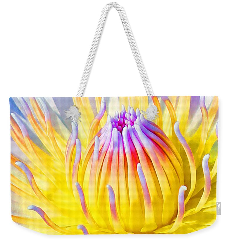  Blue Lotuses Weekender Tote Bag featuring the photograph Blue Yellow Lily by Jennifer Robin