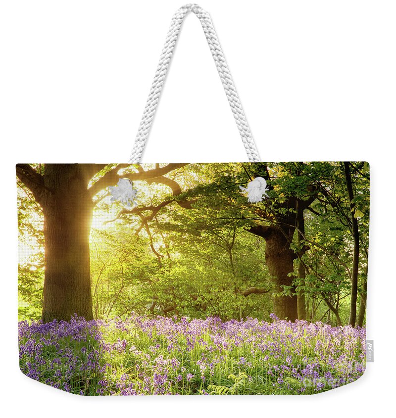 Bluebells Weekender Tote Bag featuring the photograph Bluebell wood with magical morning sunrise by Simon Bratt