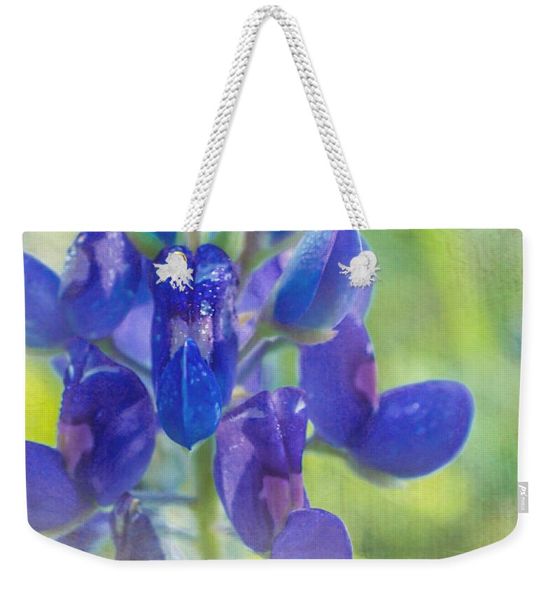 Texas Bluebonnet Weekender Tote Bag featuring the photograph Bluebonnet of Texas by TK Goforth