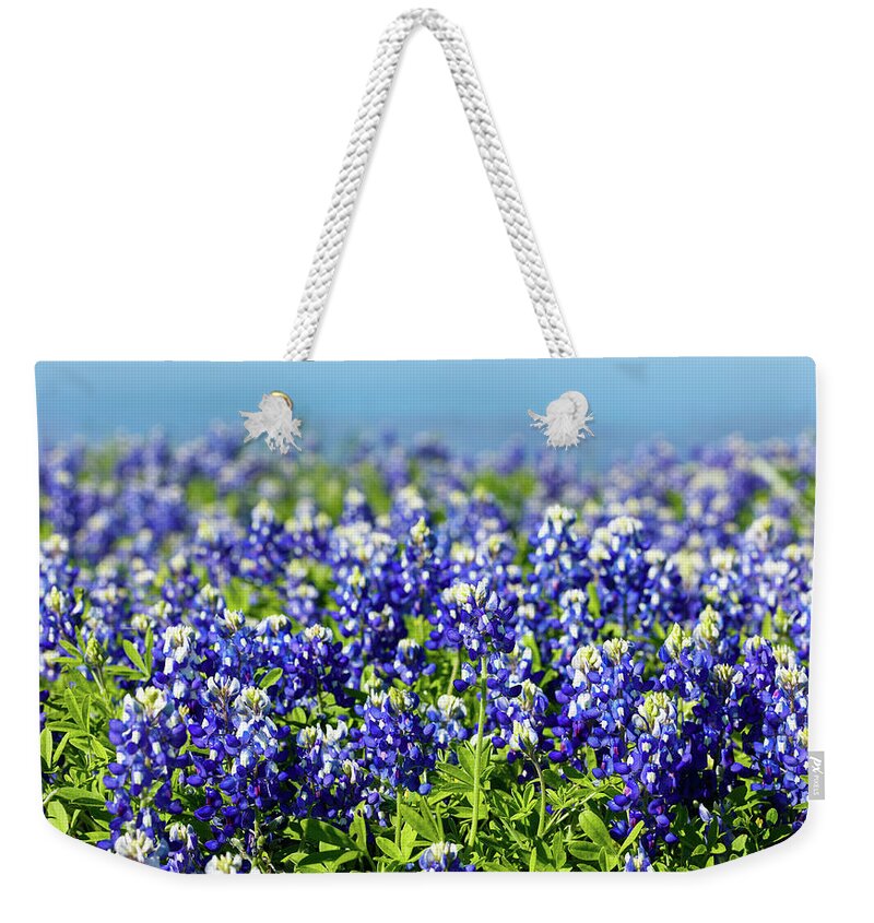 Austin Weekender Tote Bag featuring the photograph Bluebonnets by Raul Rodriguez