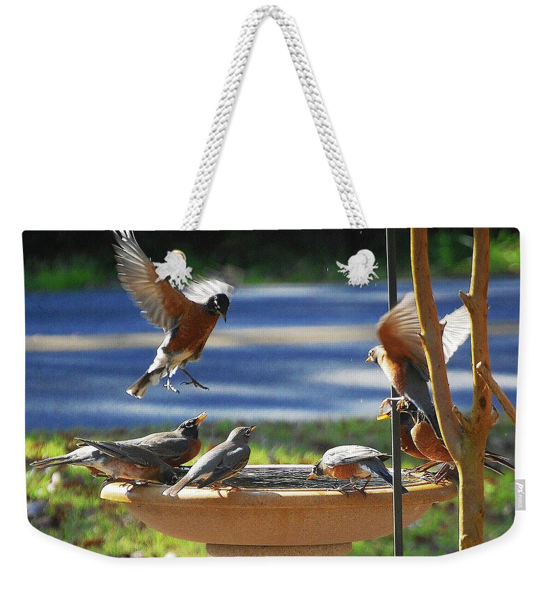 Robins Weekender Tote Bag featuring the digital art Bobbin Robins by DigiArt Diaries by Vicky B Fuller