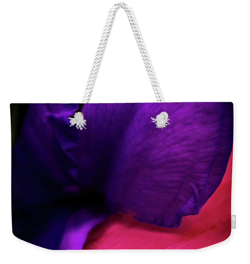 Flowers Weekender Tote Bag featuring the photograph Bold and Beautiful by Judi Kubes