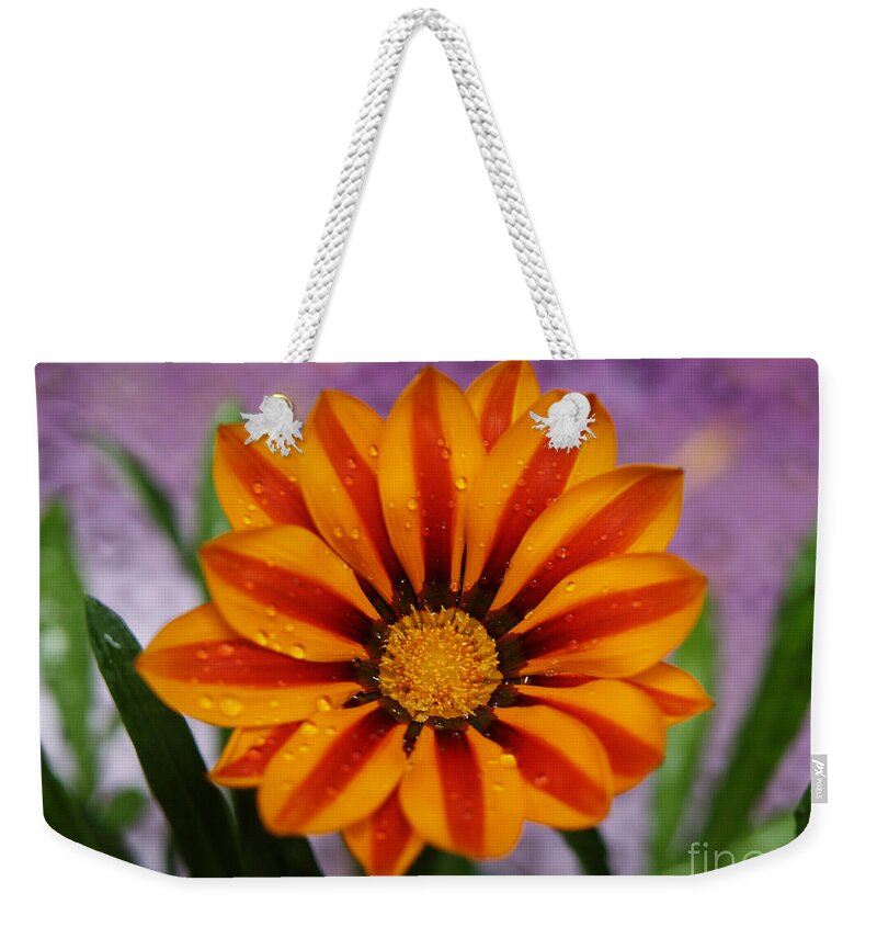 Flowers Weekender Tote Bag featuring the photograph Bold Gazania Flower II by Dorothy Lee