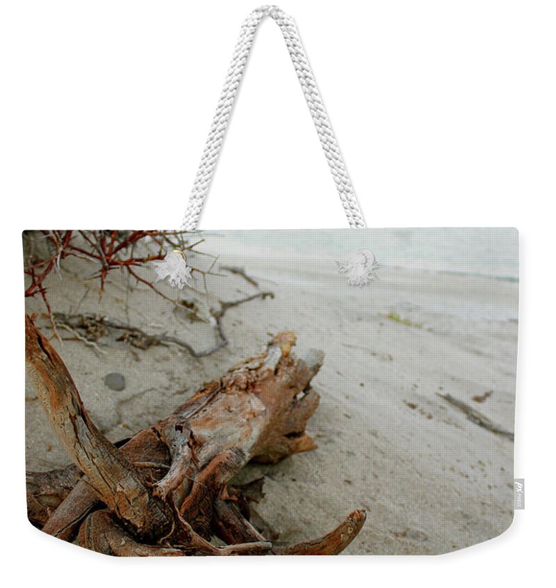 Driftwood Weekender Tote Bag featuring the photograph Bonanza Beach Driftwood by Becqi Sherman