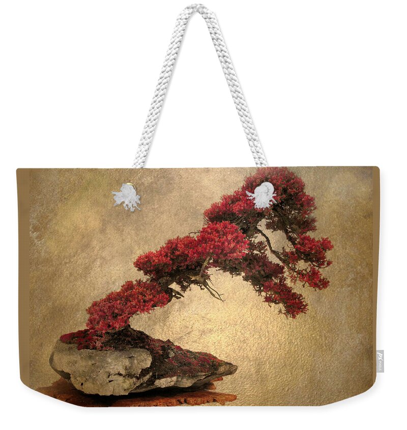 Bonsai Weekender Tote Bag featuring the photograph Bonsai Display by Jessica Jenney