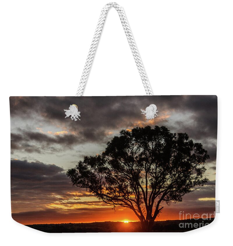 Tree Weekender Tote Bag featuring the photograph Boorowa Sunset by Werner Padarin